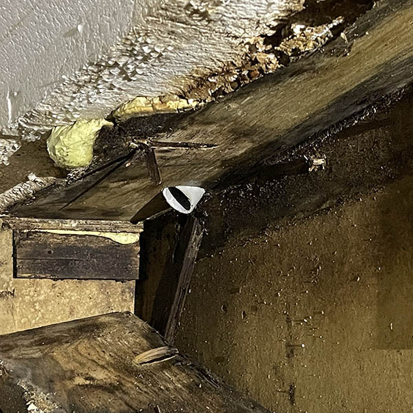 Kruipruimte Ventilatie - Stank problemen