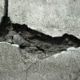 Betonrot
