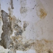 bruine vochtplekken in de muur