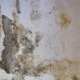 bruine vochtplekken in de muur