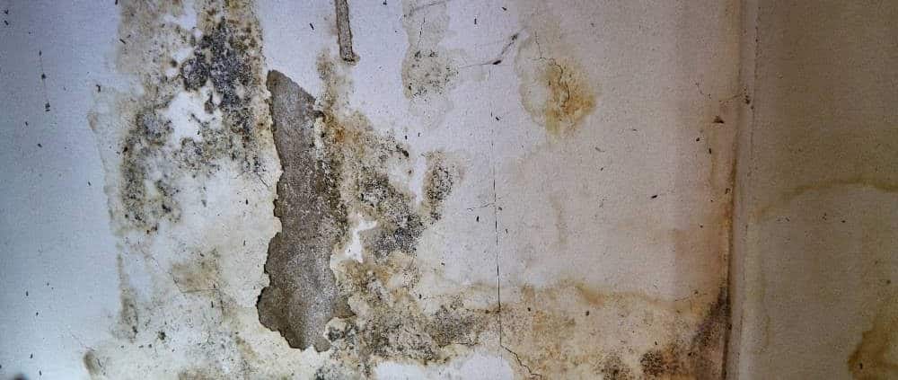 bruine-vochtplekken-woning bruine vochtplekken in de muur