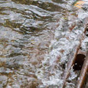 Wateroverlast in de kruipruimte door heftige regenval