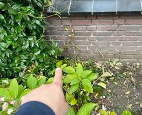 Kruipruimte Ventilatie Specialist legt uit waarom kruipruimte ventilatie onmisbaar is in je woning
